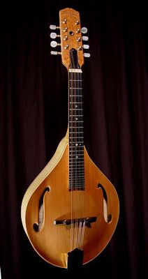 front view of michael mccarten's AF style mandolin model